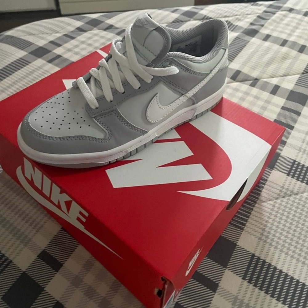 Brand new in box Nike dunk lows size 4